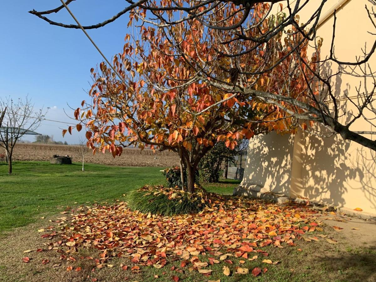 Agriturismo Cascina Mariale Villa Albiano dʼIvrea Buitenkant foto